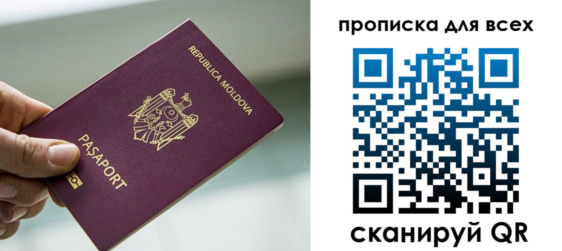 прописка иностранных граждан в Светогорске